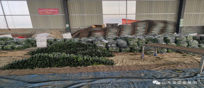 【爱心助农】多盈最新官网爱心助农解忧愁 公益捐赠渡难关