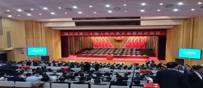 临沂市第二十届人民代表大会第四次会议召开，集团党委书记、总裁金成成参加会议并提交提案