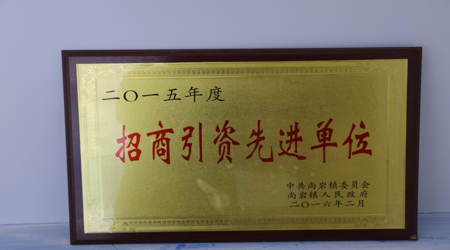 招商引资先进单位
